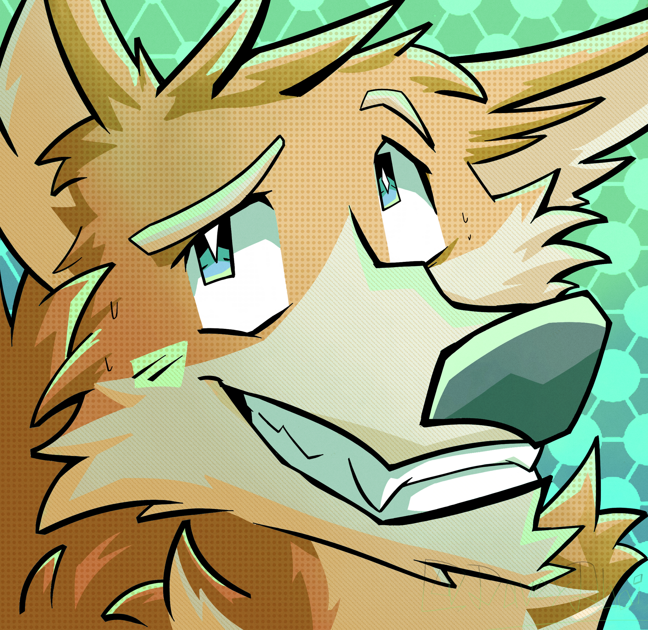 a shy dog